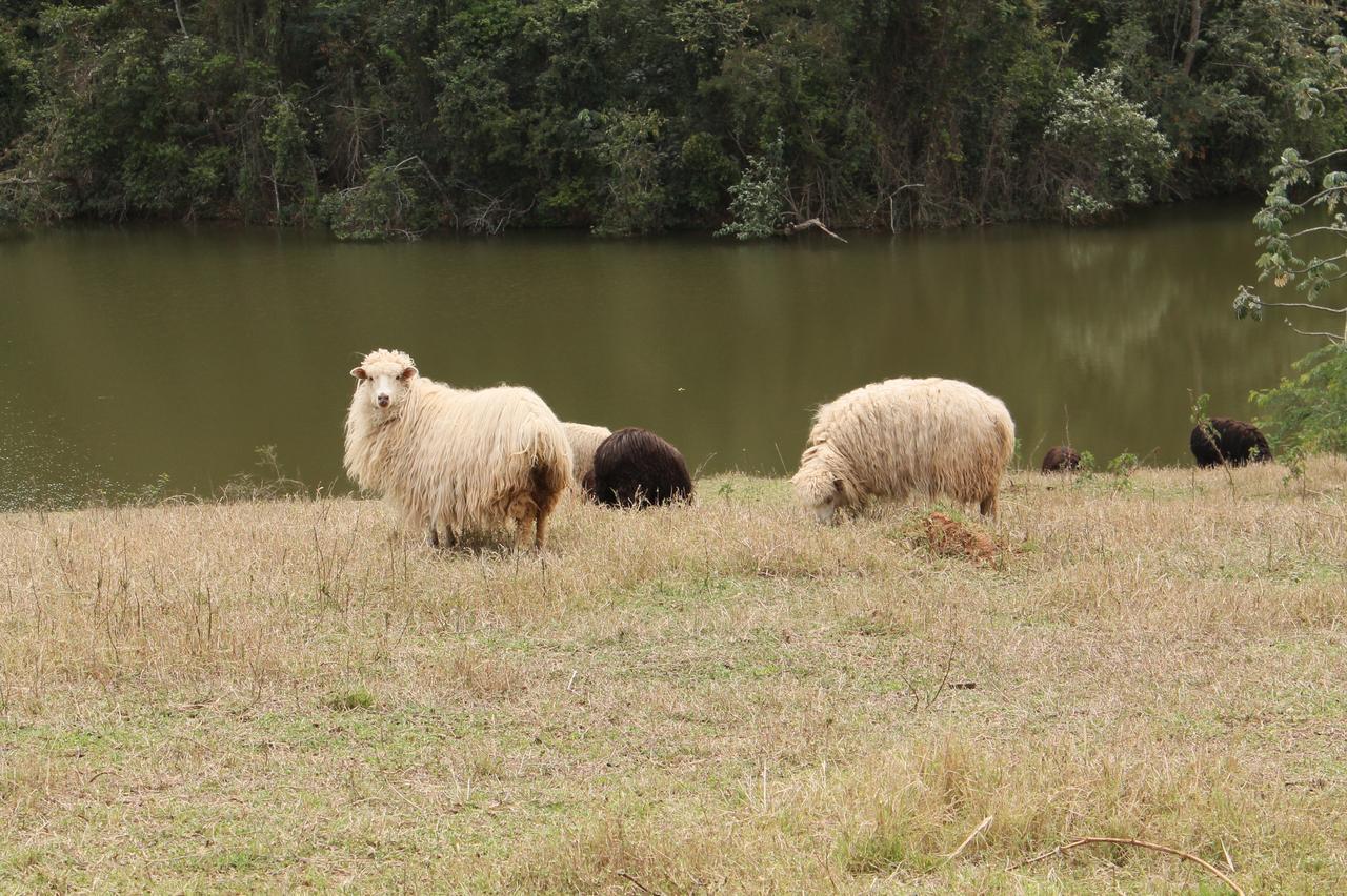 فيلا Fazenda Capoava إيتو المظهر الخارجي الصورة